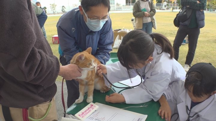 動物愛護について正しく理解を　獣医師体験やペット相談など　イベント賑わう　