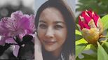【瀬戸朝香】 「春だなぁ〜 我が家にもお花が咲いてます」「何が嬉しいって… 夏が近づいていることーっ ドライブしたいっ」 SNSに想い|TBS NEWS DIG