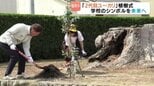 124年間児童を見守ったシンボルを未来へ 今治市の小学校でユーカリの植樹式 愛媛県|TBS NEWS DIG