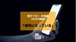 「裁判になっている」電子マネーで約30万円被害 60代男性が裁判・弁護士費用名目でだまし取られる【長崎】|TBS NEWS DIG