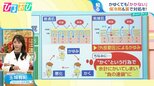 肝臓や腎臓…“病気のサイン”が隠れていることも!?『皮膚のかゆみ』を専門医が解説【ひるおび】|TBS NEWS DIG