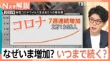 新型コロナ感染 7週連続で増加、いま流行の変異株「ニンバス」…特徴は「強烈な喉の痛み」【Nスタ解説】|TBS NEWS DIG