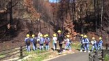 コバノミツバツツジが再び焼失… 植林していた愛媛県今治市の小学校の6年生が現地へ | 愛媛のニュース - Nスタえひめ|あいテレビは6チャンネル