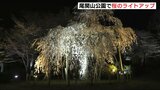 “サクラの名所”　尾関山公園でライトアップ　多くの人が夜桜を堪能　広島県三次市|TBS NEWS DIG
