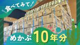 若者は海藻離れ?海藻企業が10年分の“めかぶ”を小学生にプレゼント「食べてみて」 | 福岡のニュース|RKB NEWS|RKB毎日放送
