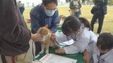 動物愛護について正しく理解を 獣医師体験やペット相談など イベント賑わう | 山梨のニュース | UTYテレビ山梨