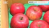 猛暑や少雨の影響か…贈答用のリンゴが小玉傾向に 色付きは順調で味も十分な仕上がり 長野|TBS NEWS DIG