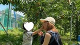 【 新井恵理那 】 「見つけられたとき嬉しかったなー」 季節終盤のさくらんぼ狩りに挑戦 家族と山梨の旅満喫 富士山を望む温泉で締めくくり|TBS NEWS DIG