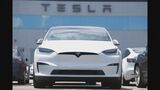 米テスラ　2四半期連続で減益　米国内の販売シェア初めて50％下回る|TBS NEWS DIG