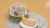 愛知･田原市産のメロンをシンガポールに！1玉1500円～2000円ほどで販売予定 国内消費伸び悩み…｢新しい可能性｣|TBS NEWS DIG