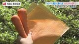規格外野菜をシート状に「フードロス対策や持続可能な農業に貢献」中小企業庁「はばたく中小企業・小規模事業者300社」に県内5社 　|　長崎のニュース | 天気 | NBC長崎放送