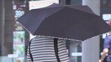 「真夏です、もう」 きょうも暑い!甲府、勝沼は2日連続で30度以上の真夏日|TBS NEWS DIG