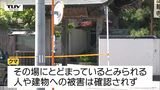 【動画】未だ捕獲できず...寺の床下にクマ 周辺の小学校では保護者付き添いでの登校 バリケードを作りワナ設置で捕獲試みる(山形・酒田市) | 山形のニュース│TUYテレビユー山形