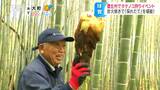 「ほっぺた落ちそう」採れたてを炭の中で15分「焼きタケノコ」も楽しみの一つ…孟宗竹の収穫体験イベントが人気、ゴールデンウイークの前半が収穫のピークに | SBC NEWS | 長野のニュース | SBC信越放送