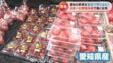 なぜ?東京の卸売市場に常駐して早朝から働く県職員 使命はできるだけ「たくさん」「高く」売る! 日本一の青物市場で奮闘する姿に密着 | 名古屋・愛知・岐阜・三重のニュース【CBC news】 | CBC web