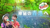 白神山地で輝く神秘の湖沼『青池』へ自転車旅 『青』にまつわるスイーツが盛りだくさん(青森県・深浦町) | 青森のニュース│ATV NEWS│青森テレビ