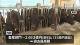 宮崎県の農業産出額　2023年は過去2番目3720億円|TBS NEWS DIG