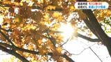 霧島神宮の紅葉　結婚式を挙げた和装の夫婦も　これからが見頃　鹿児島　|　鹿児島のニュース｜MBC NEWS｜南日本放送