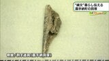 嘉手納町の歴史探訪【わがまちLink41】 | 沖縄のニュース|RBC 琉球放送