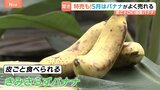 スーパーの売り場にずらり!なぜ?5月はバナナがよく売れる!プレミアムなジュース&「もっちりとしてコクがある」皮ごと食べられる国産バナナも!|TBS NEWS DIG