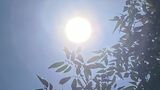 「サウナみたい」「熱中症が怖い」甲府など4地点で真夏日 予想最高気温は甲府33度、河口湖28度 | 山梨のニュース | UTYテレビ山梨