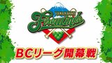 プロ野球BCリーグ開幕 山梨県内初のプロ野球球団「山梨ファイアーウィンズ」の開幕戦結果は | 山梨のニュース | UTYテレビ山梨