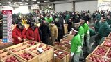 「災害続きでリンゴも生産者も大変」リンゴの初競り　安定供給への願い込めて　青森県弘前市　　|　青森のニュース│ATV NEWS│青森テレビ