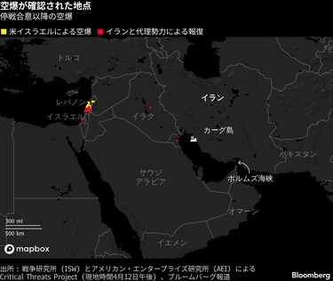 イラン輸入株 チャム ベアルート 選抜 🌿 今年最後のCHAMから、特別な贈り物 🌿 裏切らない価格、見逃すな