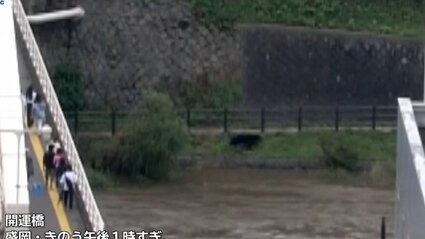 img_825091393f011be91031aa8ceb