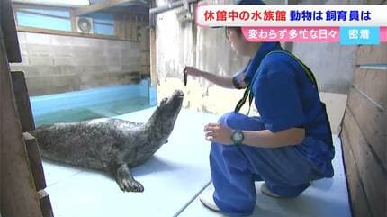新屋島水族館】休館中の動物たちは？飼育員たちの日常は？「動物の調子