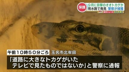 潜入探偵トカゲ　第8話　台本 ギャラリー│TBSテレビ：潜入探偵トカゲ