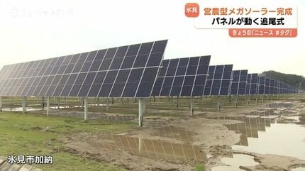 北陸初の営農型メガソーラー完成 ブランド米「富富富」を育てながら 北陸初の営農型メガソーラー完成 ブランド米「富富富」を育てながら
