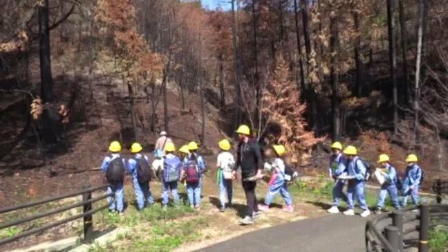 コバノミツバツツジが再び焼失… 植林していた愛媛県今治市の小学校の6年生が現地へ|TBS NEWS DIG