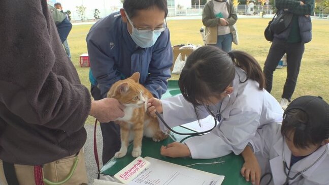 動物愛護について正しく理解を　獣医師体験やペット相談など　イベント賑わう　|TBS NEWS DIG