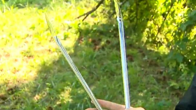 「栗拾い中に遭遇」クマに追いかけられて転倒した男性 とっさの判断　持っていた“トング”で抵抗 クマは逃げる　新潟・湯沢町|TBS NEWS DIG