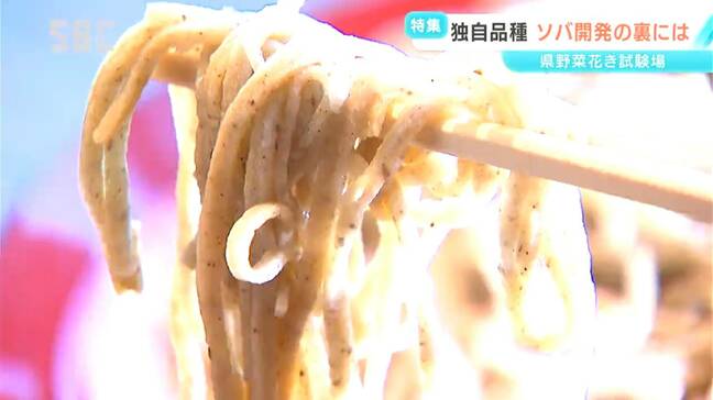 親同士の掛け合わせに5年試験栽培に更に5年　赤い実や翡翠のような緑色にするまでの苦労とは　開発担当者が語る新たな「信州そば」誕生の裏にあった試行錯誤の日々　長野|TBS NEWS DIG