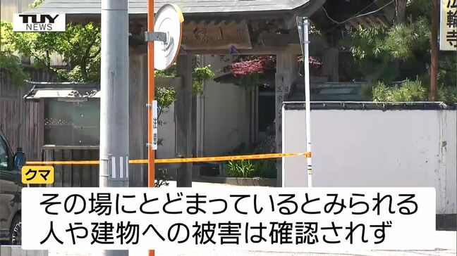 【動画】未だ捕獲できず...寺の床下にクマ　周辺の小学校では保護者付き添いでの登校　バリケードを作りワナ設置で捕獲試みる（山形・酒田市）|TBS NEWS DIG
