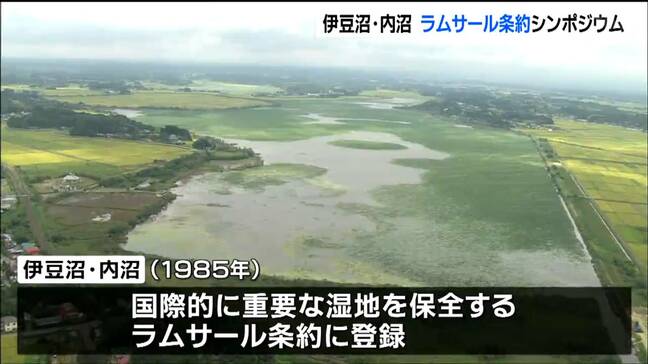 伊豆沼・内沼『ラムサール条約』登録40周年記念シンポジウム　宮城・栗原市|TBS NEWS DIG