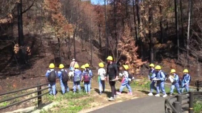 コバノミツバツツジが再び焼失…　植林していた愛媛県今治市の小学校の6年生が現地へ|TBS NEWS DIG