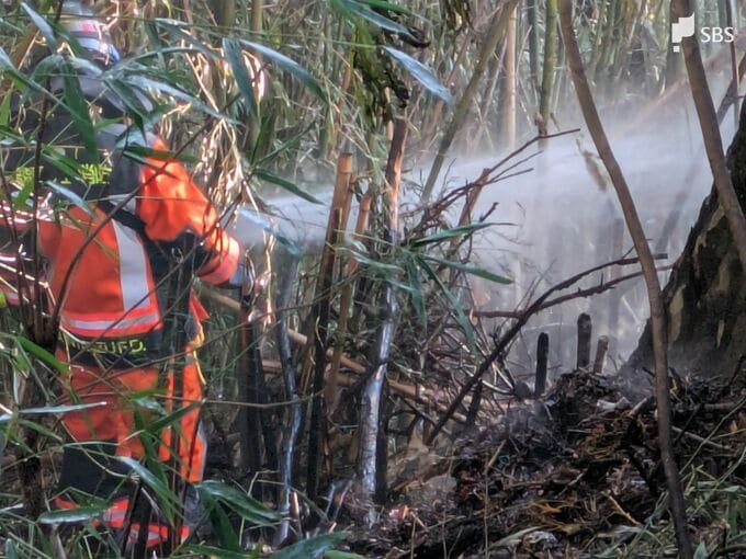 静岡県伊東市の雑木林で林野火災、消防が今も消火活動を継続中|TBS NEWS DIG