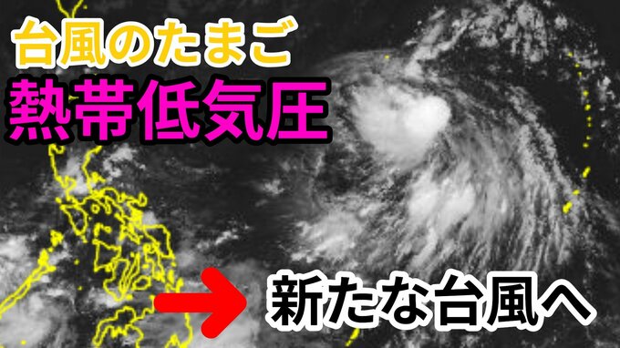 【台風情報】フィリピンの東に「熱帯低気圧（台風のたまご）」　24時間以内に新たな台風へ発達する見込み　今後の進路はどうなる？ 気象予報士が詳しく解説【気象庁発表　8日午後1時更新】|TBS NEWS DIG