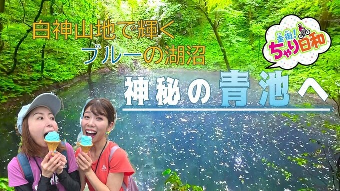 白神山地で輝く神秘の湖沼『青池』へ自転車旅　『青』にまつわるスイーツが盛りだくさん（青森県・深浦町）　|　青森のニュース│ATV NEWS│青森テレビ