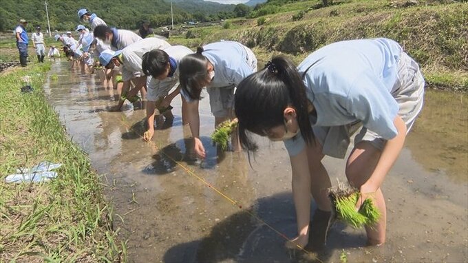 「お米の大切さを知った」高校生が棚田で田植え体験　430年の歴史ある御領千枚田　|　山梨のニュース | ＵＴＹテレビ山梨