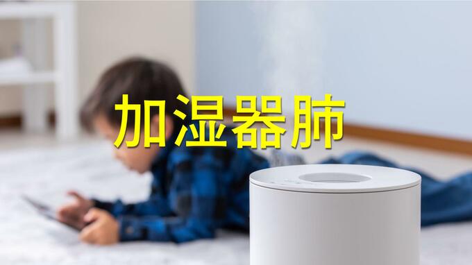 「家でだけ咳が出る」…冬の病『加湿器肺』の恐怖　医師が指摘する“白い水垢”の正体と週末10分の防衛術|TBS NEWS DIG