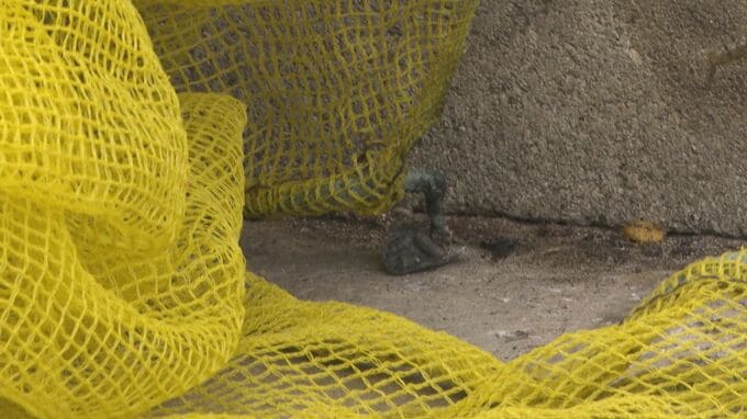 ごみ集積所で不審火　ごみやネット焼く火事、2か所で相次ぐ　福島・郡山市　|　福島のニュース│TUF