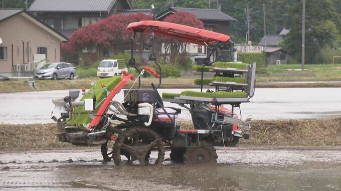 「うちの田んぼもお願い」ロボット田植え機を活用、人手不足解消へ 能登の救世主として期待|TBS NEWS DIG