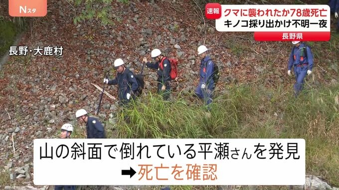 キノコ採りに出かけ行方不明に　クマに襲われたか　男性（78）発見も死亡　長野・大鹿村|TBS NEWS DIG