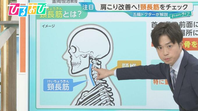 「肩こり」の原因は“首のインナーマッスル”にあり！五輪ドクターが教えるメカニズムと改善法【ひるおび】|TBS NEWS DIG