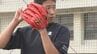 150キロ右腕の平田（大分商）がプロ志望届を提出「楽しみが大きい」甲子園を沸かせた剛腕が次の舞台へスタンバイ　|　大分のニュース｜OBS NEWS｜大分放送