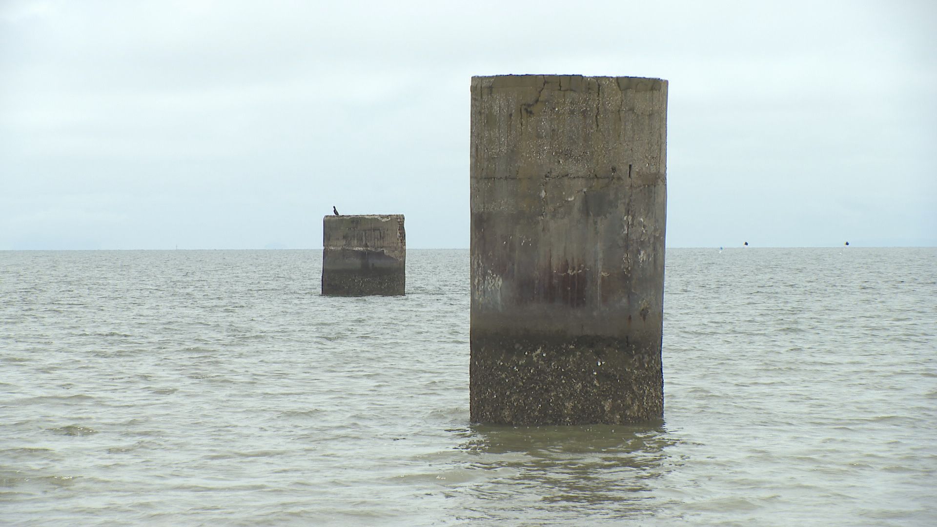 img_83a97ca421c19c6af3964d2e4a